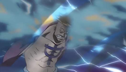 Marco! The Keeper of Whitebeard's Last Memento!